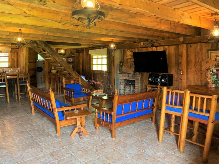cabin-livingroom2-crop